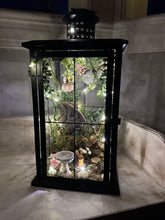 Load image into Gallery viewer, 06-07-25 Fairy Lantern Succulent Workshop