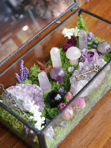 06-07-25 Fairy Lantern Succulent Workshop