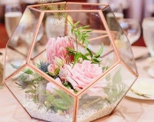 06-07-25 Fairy Lantern Succulent Workshop
