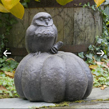 Load image into Gallery viewer, 09-06-26 Concrete Cat &amp; Pumpkin Paint &amp; Sip at The Wine Cafe