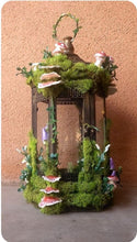 Load image into Gallery viewer, 06-07-25 Fairy Lantern Succulent Workshop