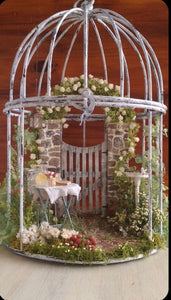 06-07-25 Fairy Lantern Succulent Workshop