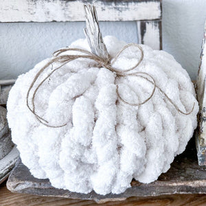 09-17-25 Chunky Knit Pumpkin Craft & Sip