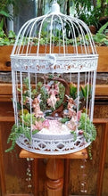 Load image into Gallery viewer, 06-07-25 Fairy Lantern Succulent Workshop