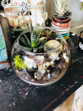 Load image into Gallery viewer, 06-07-25 Fairy Lantern Succulent Workshop