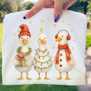 11-13-25 Holiday Duck Paint & Sip
