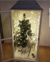 Load image into Gallery viewer, 11-05-25 Enchanted Winter Fairy Lantern Workshop