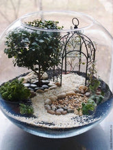 Load image into Gallery viewer, 06-07-25 Fairy Lantern Succulent Workshop