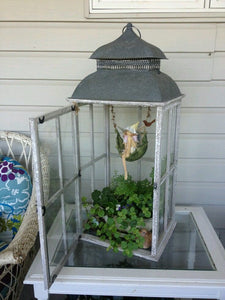 06-07-25 Fairy Lantern Succulent Workshop