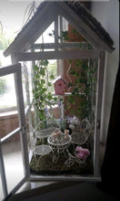 Load image into Gallery viewer, 06-07-25 Fairy Lantern Succulent Workshop