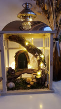 Load image into Gallery viewer, 06-07-25 Fairy Lantern Succulent Workshop