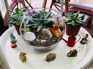 06-07-25 Fairy Lantern Succulent Workshop