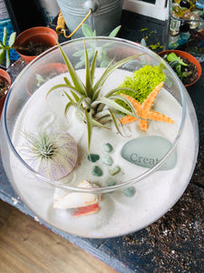 06-07-25 Fairy Lantern Succulent Workshop