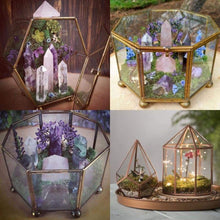 Load image into Gallery viewer, 06-07-25 Fairy Lantern Succulent Workshop