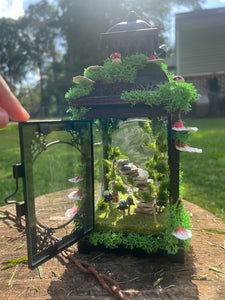 06-07-25 Fairy Lantern Succulent Workshop